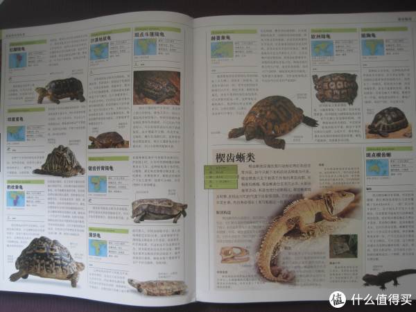 《DK动物大百科》+凑单书