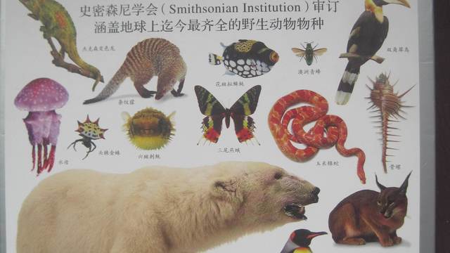 超级厚超级厚的《dk动物大百科》