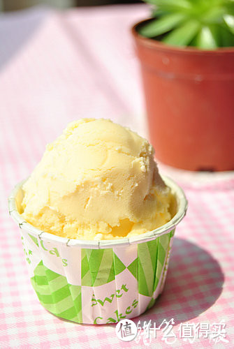 入夏消暑不麻烦，自制健康好吃的消暑佳品之香草冰淇淋