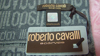 逆袭神器！Roberto Cavalli 罗伯特·卡沃利 Men's Wool Scarf 男士羊毛围巾