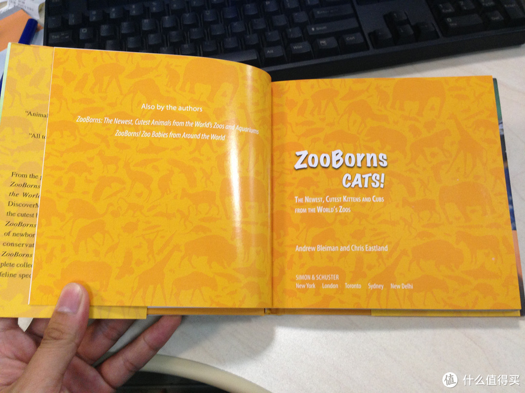 《ZooBorns CATS! 》萌物图册 内附喵星人