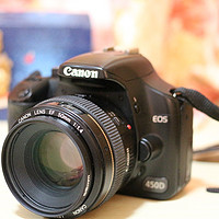 用了五年的单反终于换了：Canon 佳能 EOS 100D 晒单