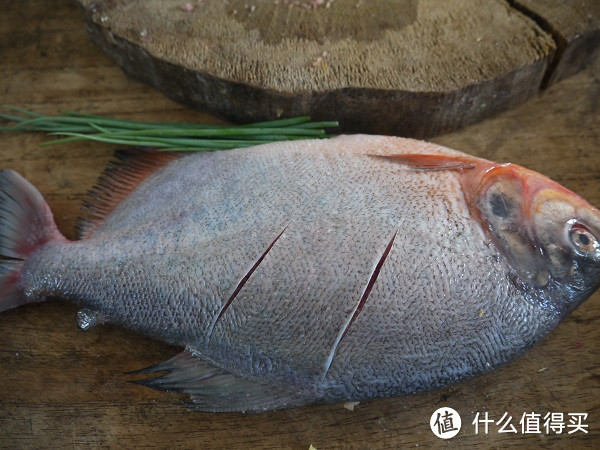 深夜食堂——红烧海鲳鱼、辣凉粉