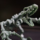 侏罗纪公园补完计划：SKELEFLEX 拼装恐龙骨架