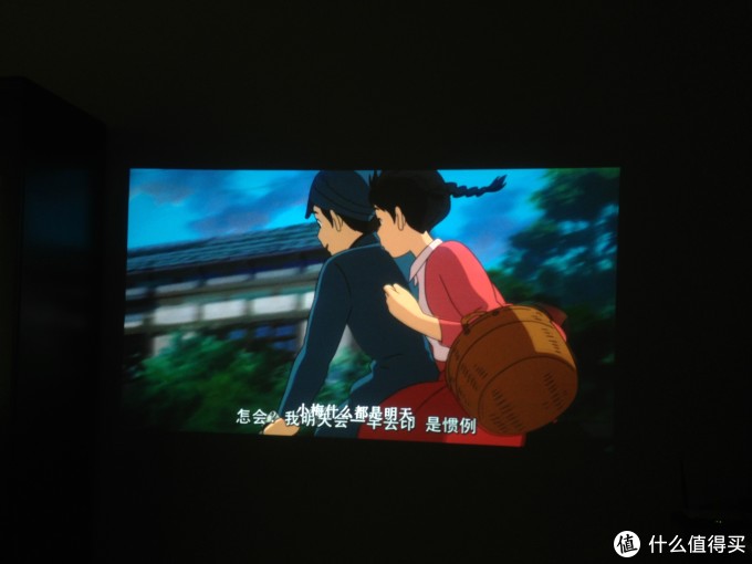 虞美人 虞美人