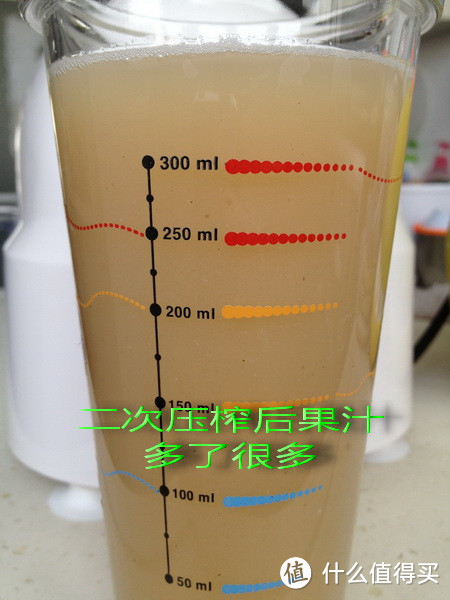 Liven 利仁 GS-A 果蔬榨汁机