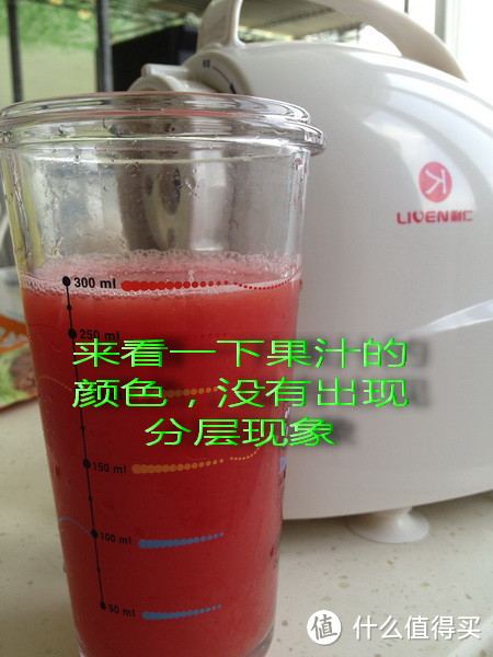 Liven 利仁 GS-A 果蔬榨汁机
