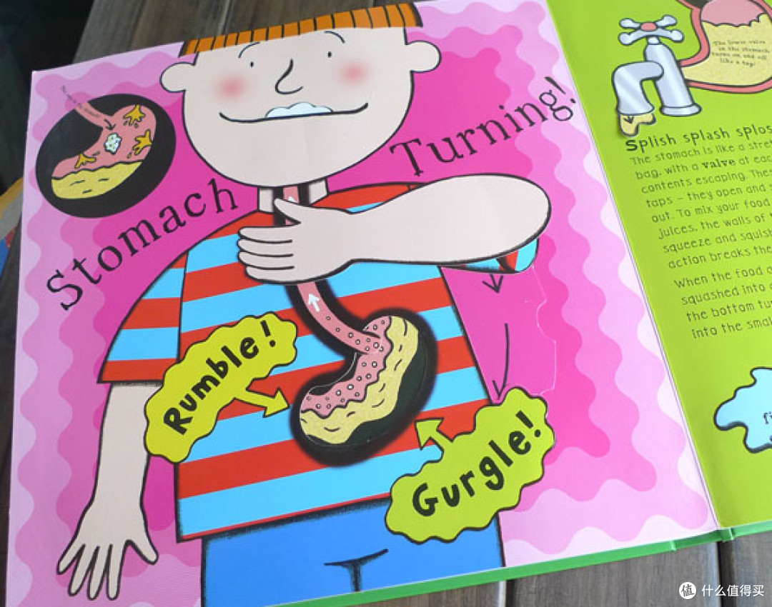 开肠破肚重口味立体书 慎入:《The gooey chewy rumble plop book》