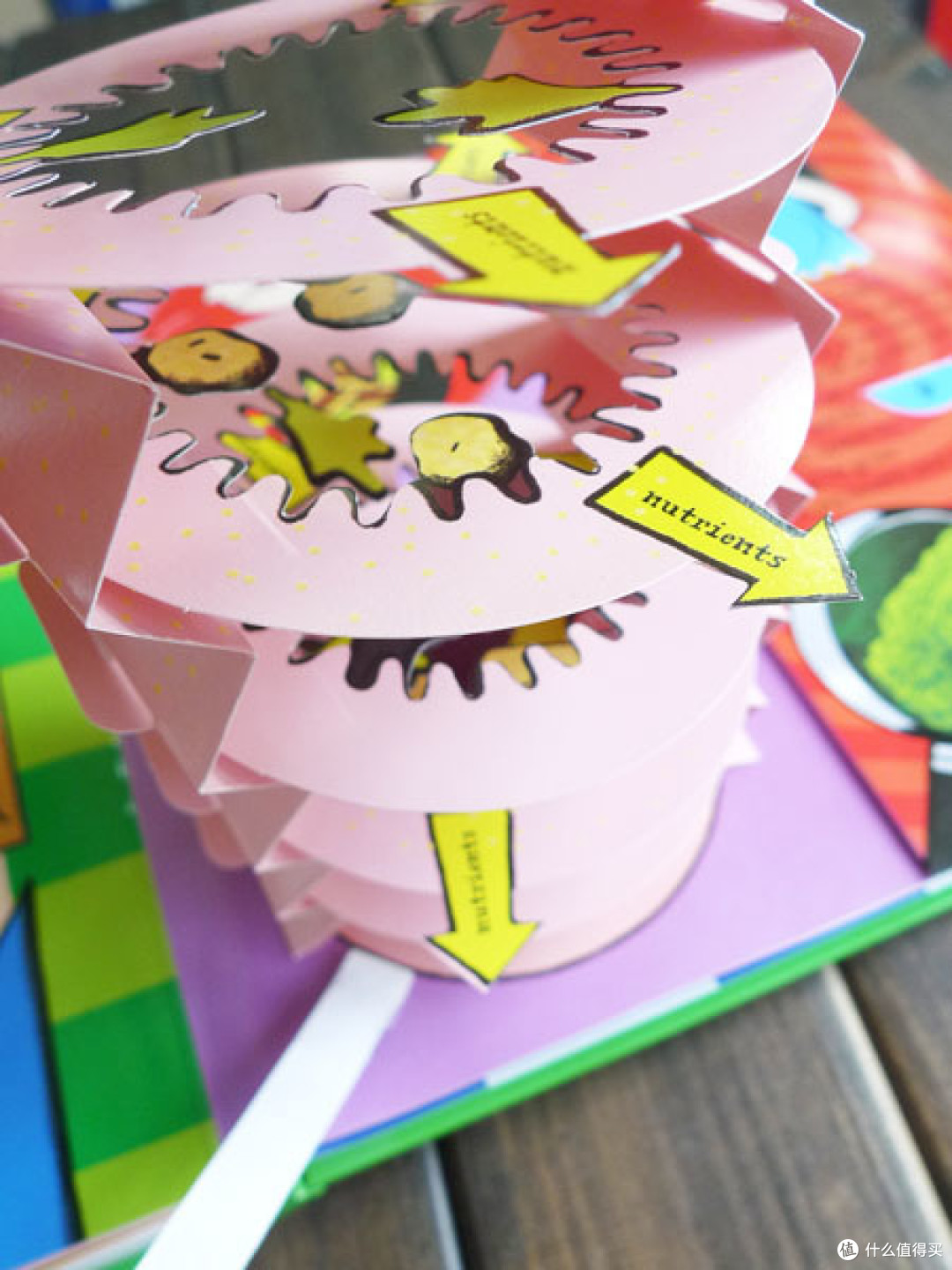 开肠破肚重口味立体书 慎入:《The gooey chewy rumble plop book》