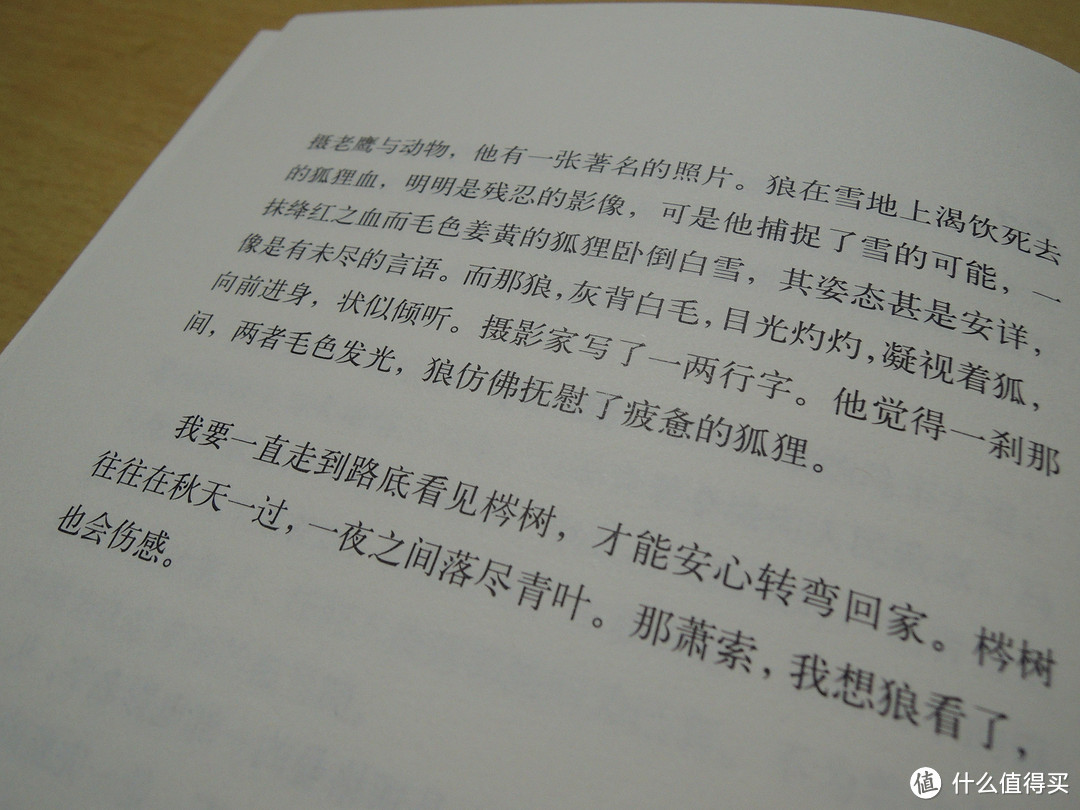 冷门又有趣、适合旅途看的书：《我的金鱼会唱莫扎特 》