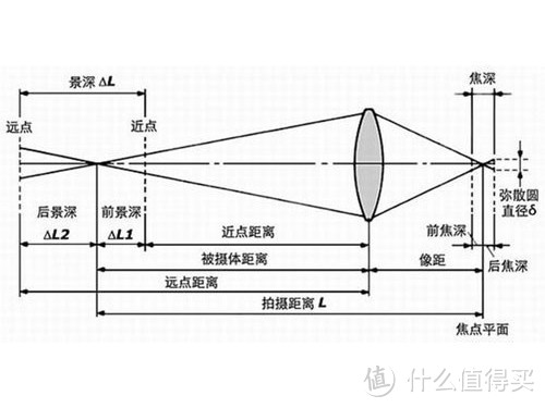 十几块也能玩微距：绿叶 +4近摄镜小评