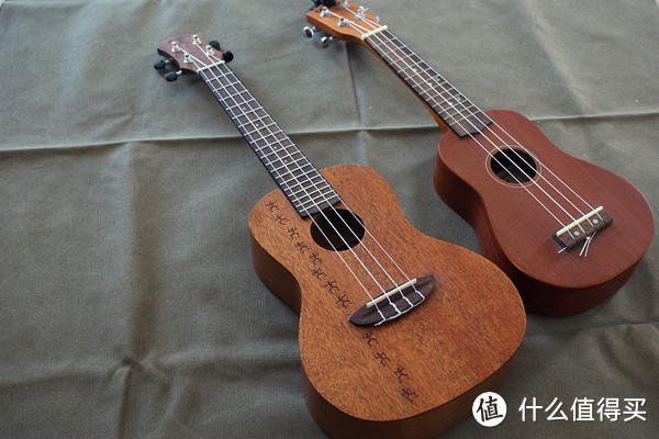 新手如何买一把适合自己的Ukulele？