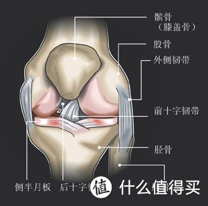 运动防护篇