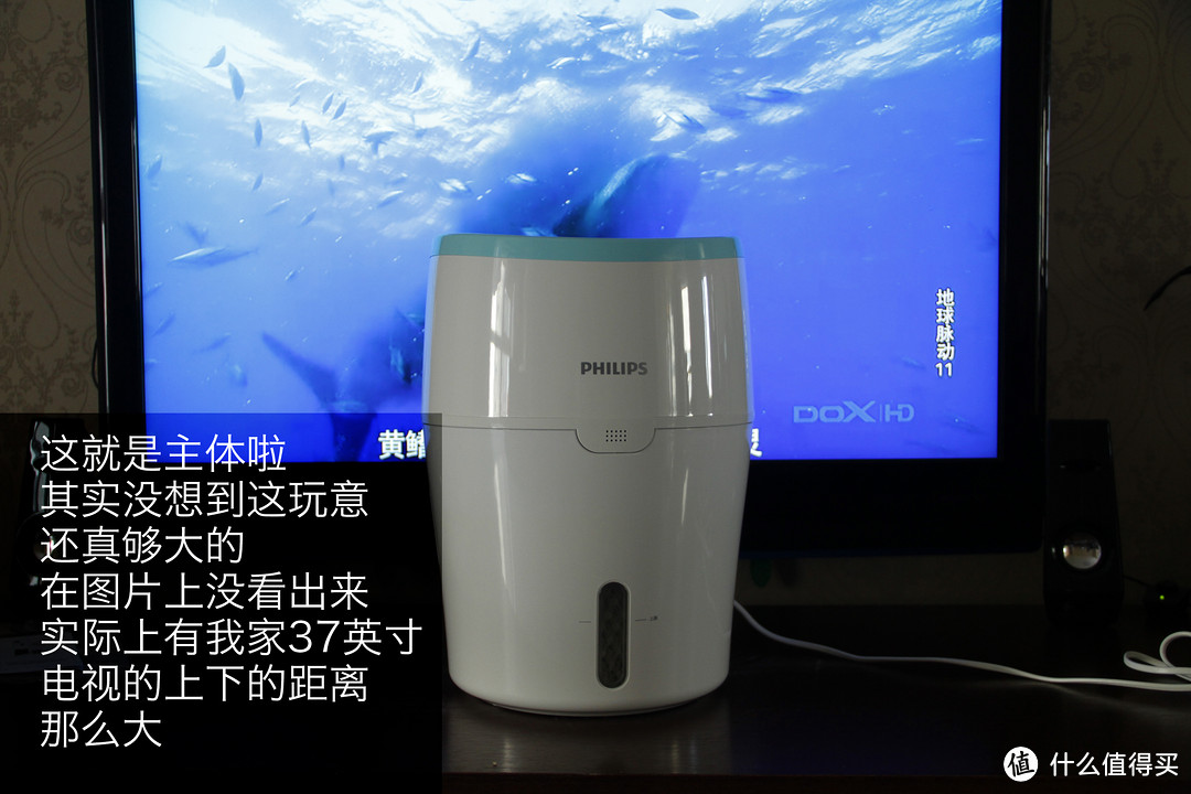 Philips飞利浦 HU4801 空气加湿器 净化型