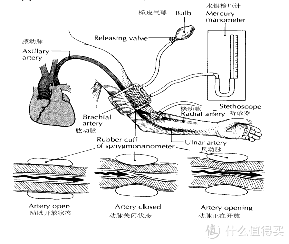 关于电子血压计的使用