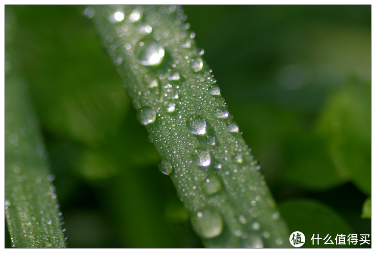 乐天日淘 PENTAX 宾得 防水百微 DFA 100 F2.8 WR