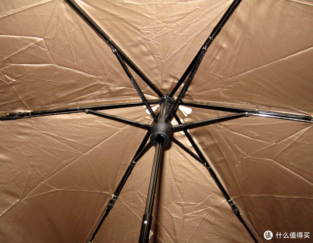 伞骨特写