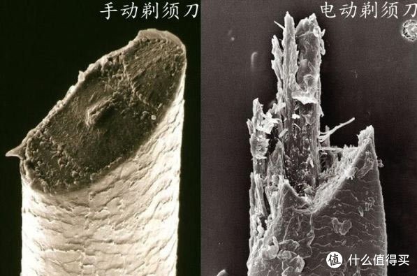 海淘黑五前电动剃须刀小经验-飞利浦、博朗、松下几款值得买的电动剃须刀浅显比较