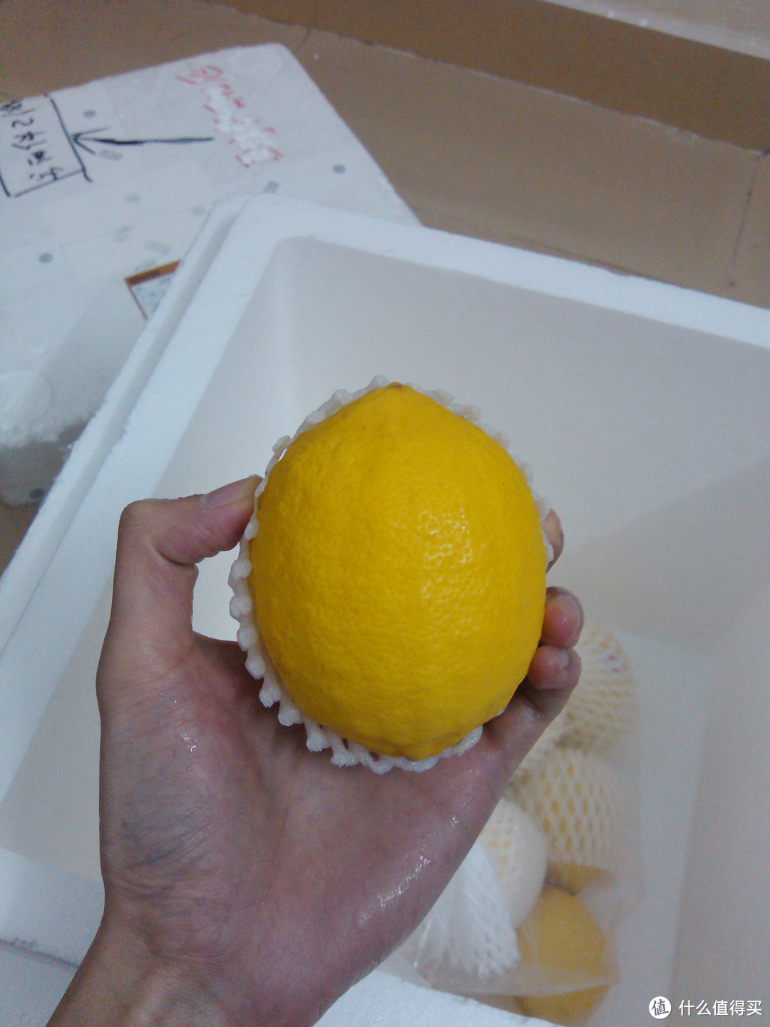 柠檬的大小还算合适，切片也比较方便，请忽视爪子。
