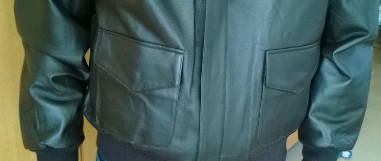 landing leathers a2