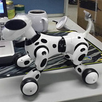 美国沃尔玛购入 Zoomer Robot Dog with Bonus Hoodie 智能机器狗