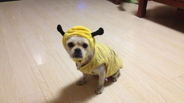 barnes & noble 巴诺书店 nook2 电子书阅读器 官翻版 开箱