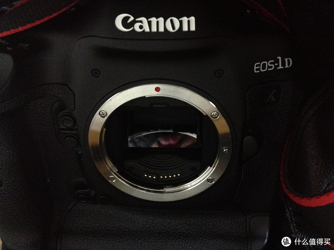 Canon 佳能 EOS 1D X 单反机身 + EF 24-70mm f/2.8L II USM 标准变焦镜头，无参数无对比无评测的三无晒单！！