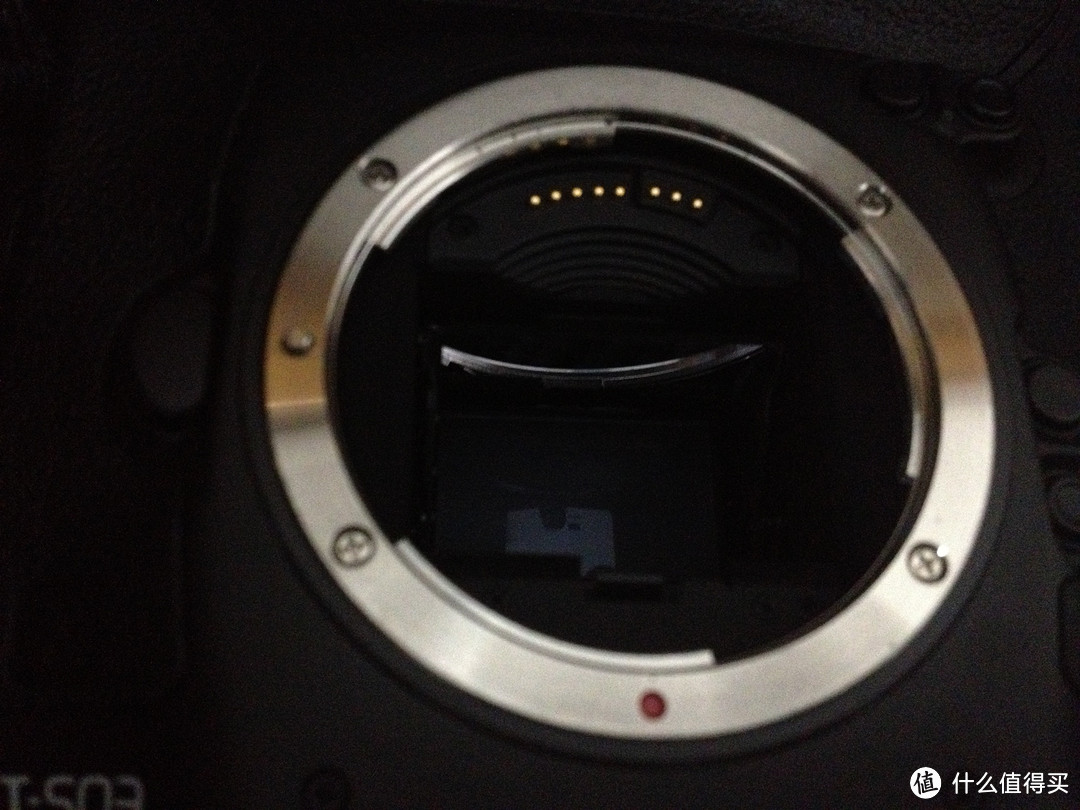 Canon 佳能 EOS 1D X 单反机身 + EF 24-70mm f/2.8L II USM 标准变焦镜头，无参数无对比无评测的三无晒单！！