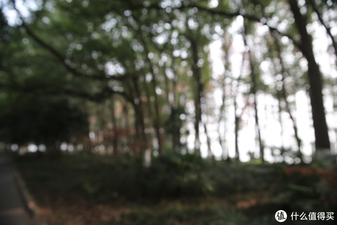 Canon 佳能 EOS 1D X 单反机身 + EF 24-70mm f/2.8L II USM 标准变焦镜头,无参数无对比无评测的三无晒单!!