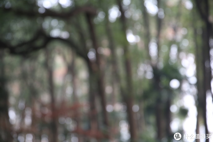 Canon 佳能 EOS 1D X 单反机身 + EF 24-70mm f/2.8L II USM 标准变焦镜头,无参数无对比无评测的三无晒单!!