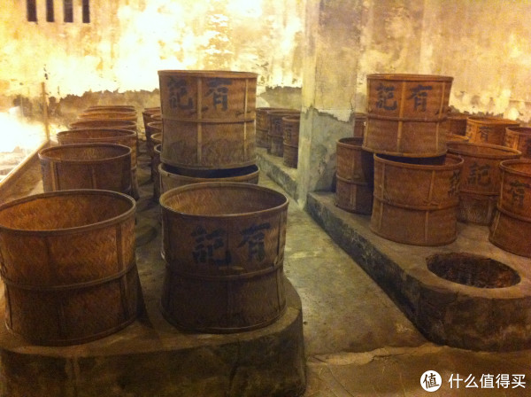 参观茶厂