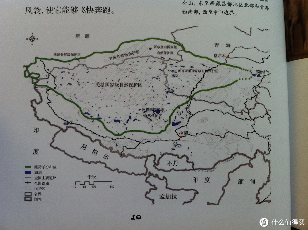 藏羚羊在国内的分布