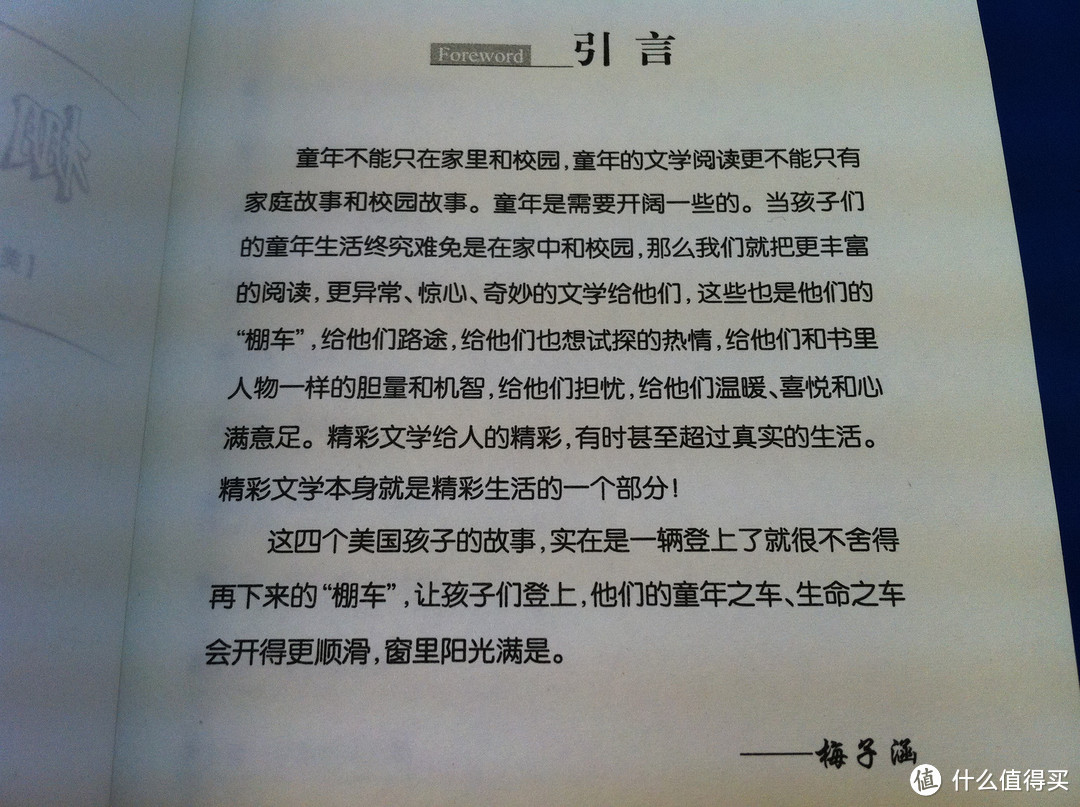 用梅子涵的话作为结尾再合适不过。
完