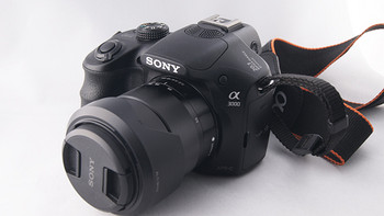 晒晒我的类单反：SONY 索尼 a3000 可更换镜头数码相机，试拍菊花