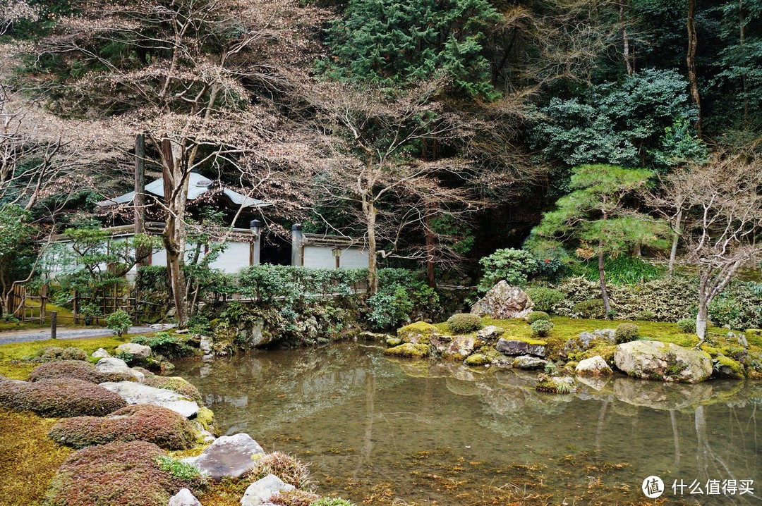 春节日本买表记： 晒晒战果——三款劳力士 腕表