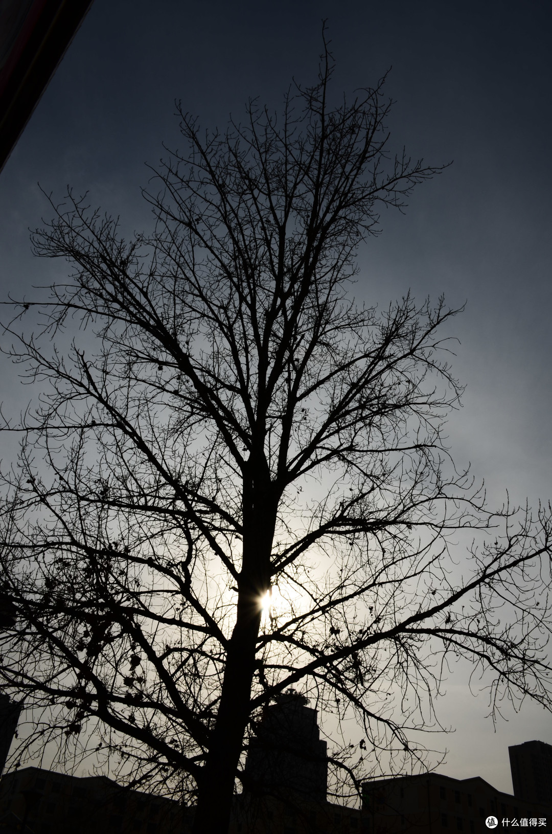 菜鸟购入 Nikon 尼康 D7000 单反套机