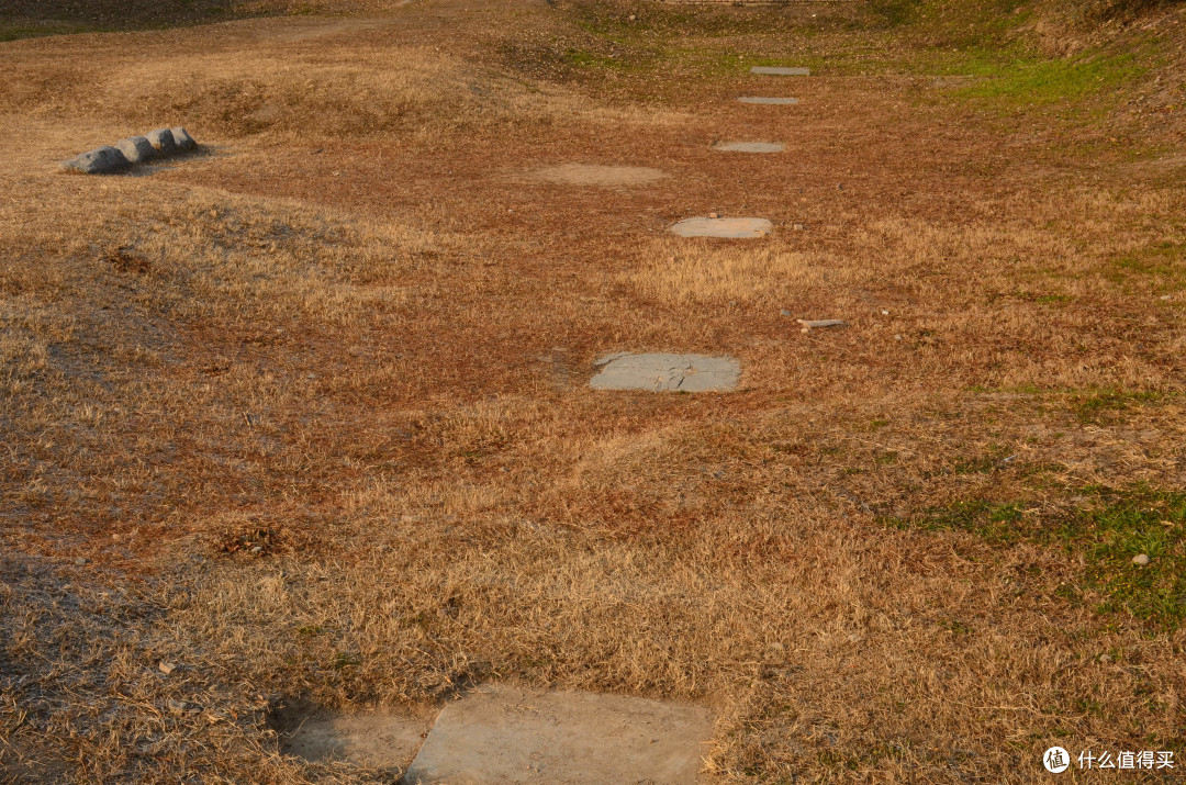 菜鸟购入 Nikon 尼康 D7000 单反套机