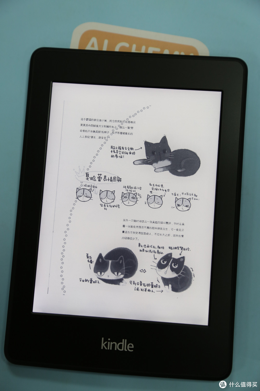 京东购入 Kindle Paperwhite 2，附DIY 小清新 保护套