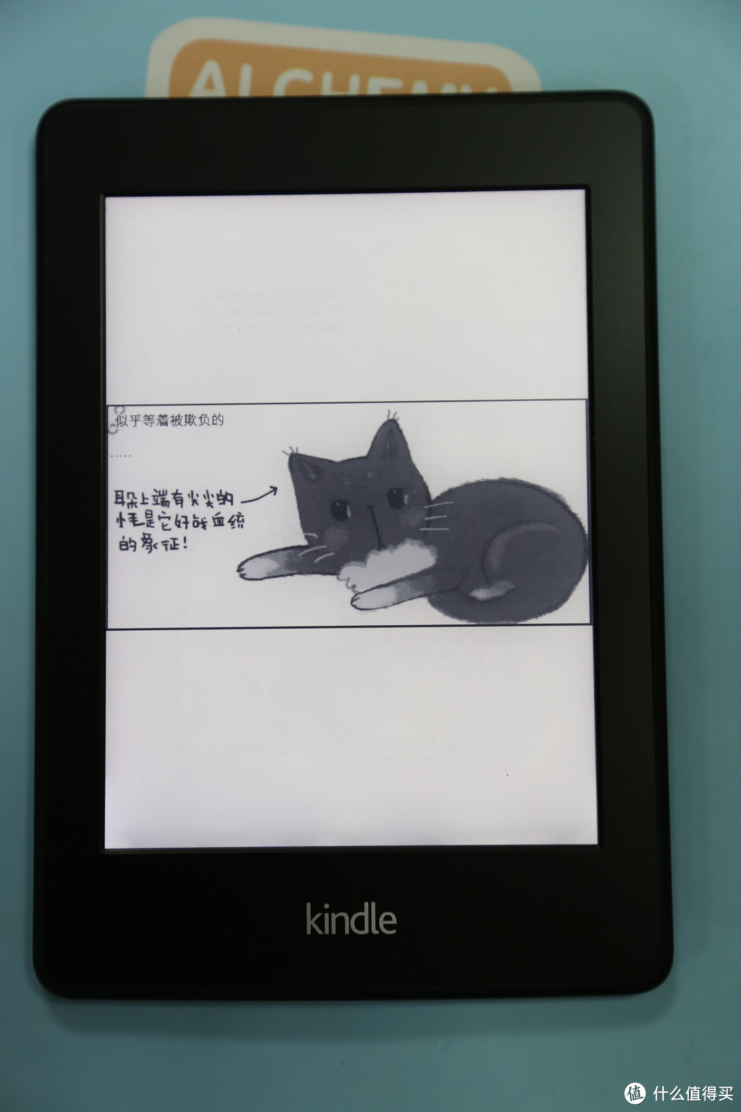 京东购入 Kindle Paperwhite 2，附DIY 小清新 保护套