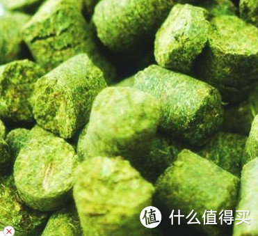 自酿啤酒的原料准备以及酿制方法