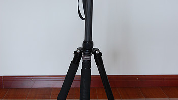Sinno 信乐 Y-3425Z 碳纤维单反相机三脚架
