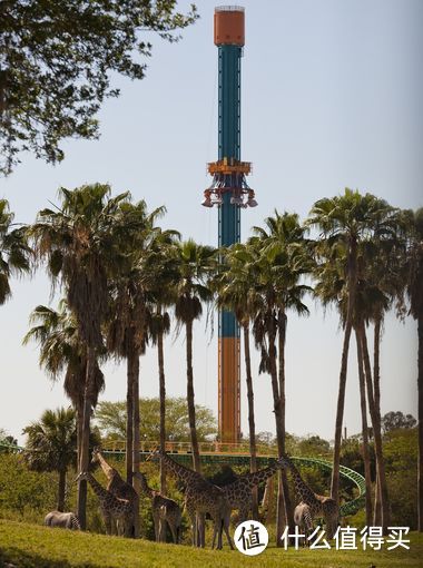 百米巨型跳楼机“猎鹰之怒”在美佛罗里达州对外开放