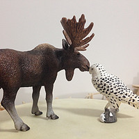 栩栩如生，纤毫毕现：Schleich 思乐 动物模型 雄麋鹿14619、雪鸮 S14671