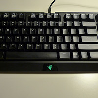 Razer 雷蛇 BlackWidow 黑寡妇蜘蛛竞技版2014 绿轴机械键盘