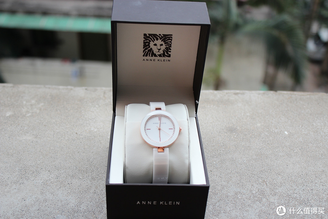 Anne Klein 安妮克莱恩 AK/1314RGWT 女款时装腕表 — 给媳妇儿的六一礼物