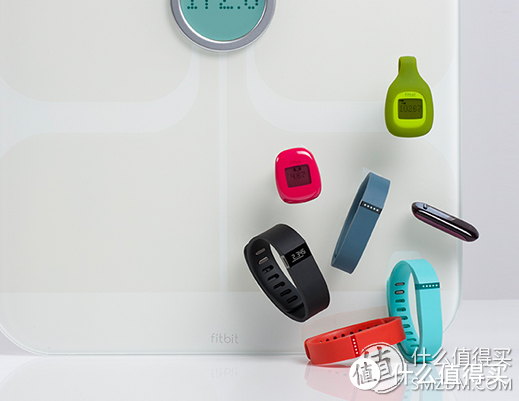 Fitbit正式进入中国 Flex乐活手环已上架开卖