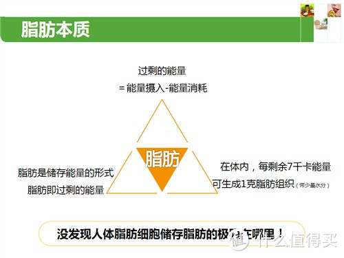 健康的身体才是最大的奢侈品：掌握自己的身体状态后合理制定减肥计划