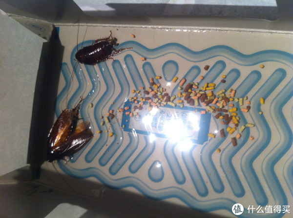 给小强们建造一栋进去就出不来的别墅:ars 安速 蟑螂屋