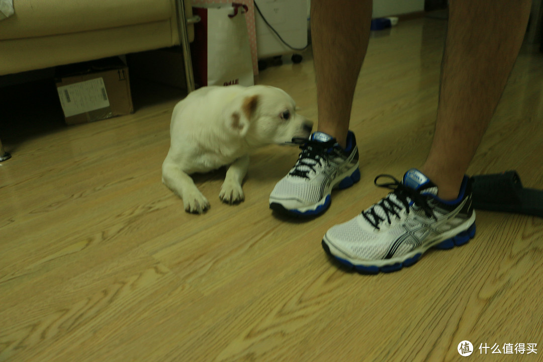 海淘 ASICS 亚瑟士 GEL-Cumulus 15 次旗舰 男款缓震跑步鞋 & Onitsuka Tiger 鬼冢虎 休闲鞋