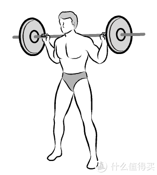 在家练习还可以照着莱美的body pump 杠铃操练习 你会发现多是小蹲加